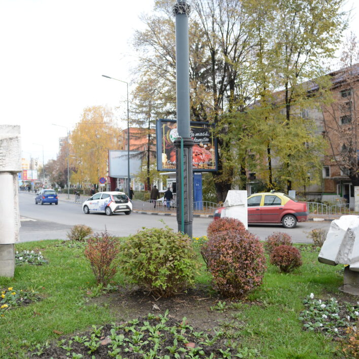 Aripi, marmură, 2012